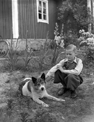 Hjalmar Svensson pojk o hund Bonslätt.