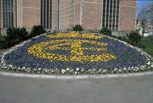 Vårplantering 1998
