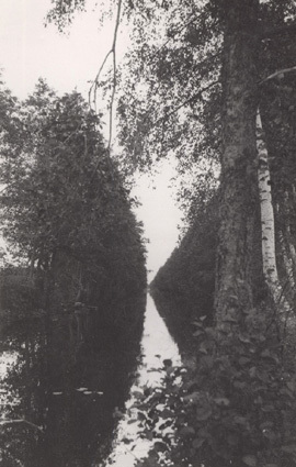 Räppe kanal nära Växjö 29 Juli 1931