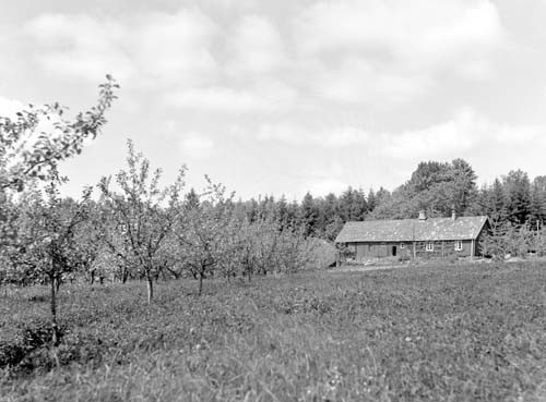 Hjalmar Gustavssons hus på avstånd, Esperyd.