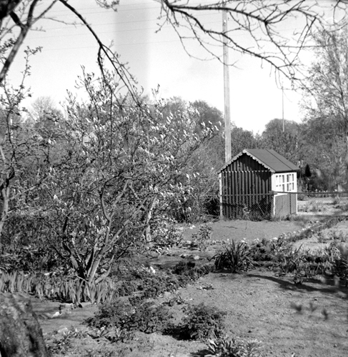 Koloniområde i Simrishamn 1950.