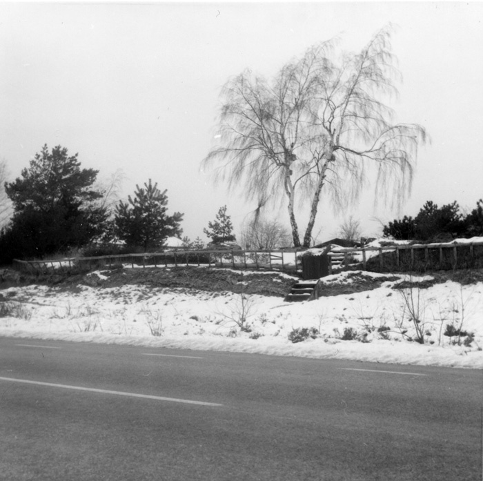 Nyuppsatt staket på tångvall på Päronträdsvägen...