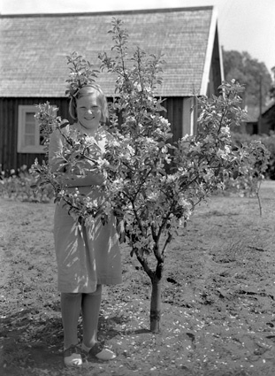 Edvin Svenssons dotter Österslöv.