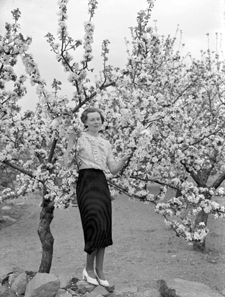 Greta Persson Mannestad i äppleträd.
