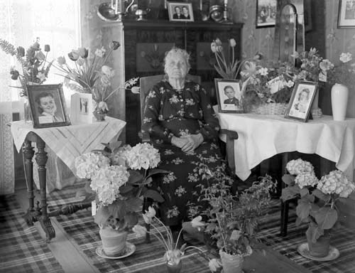 Matilda Lindvall (70 år) bland blommor Staversvad.