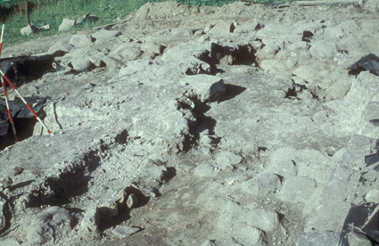 Tjörnarps kyrkoruin, utgrävningen 1961