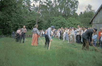 Budkaveln kommer till Wittsjö Hembygdens år, 1984.