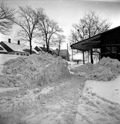 Vintern 1956.