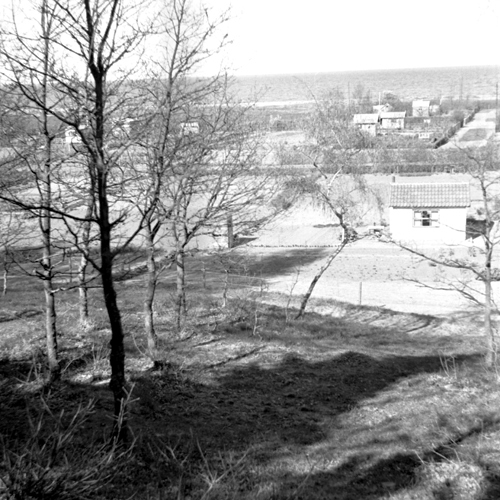 Koloniområde i Simrishamn 1950.