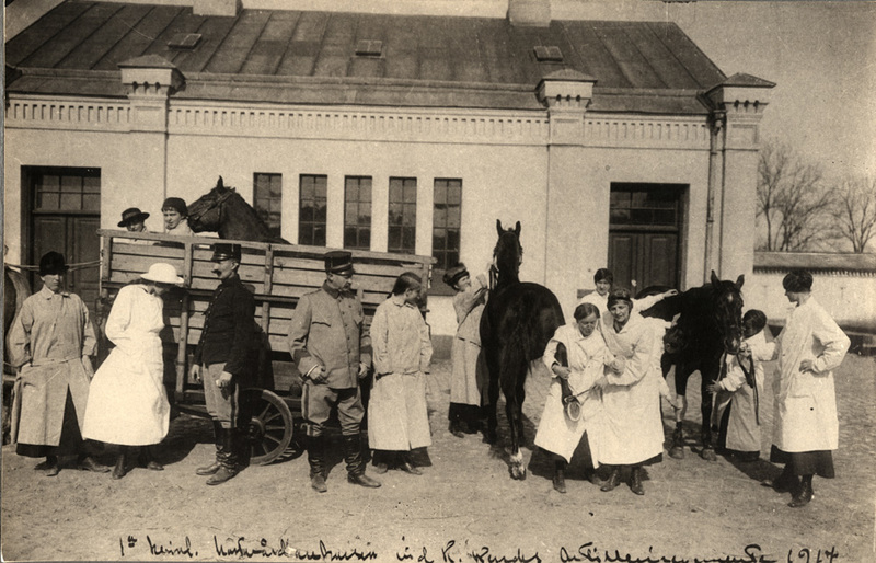 Första kvinnliga hästvårdskursen vid Kungliga W...