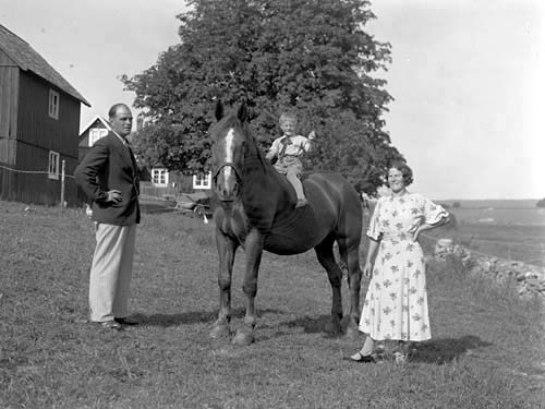 Birger Persson Mölleröd med hästen.