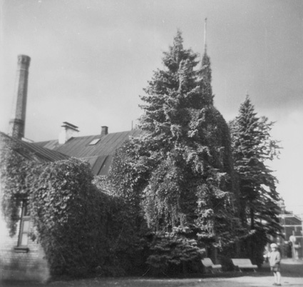 Gamla varmbadhuset i Tivoli 1958.