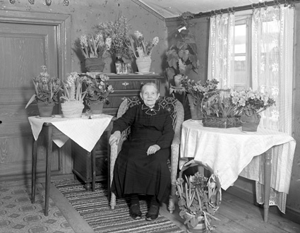 Fru Ella Jönssons 80-årsdag, Vånga.