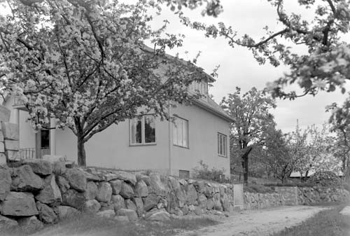 Olof Månssons villan blomning Snäckestad.