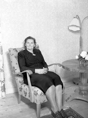 Fru Friberg 60 årsdag Immeln Erikberg.