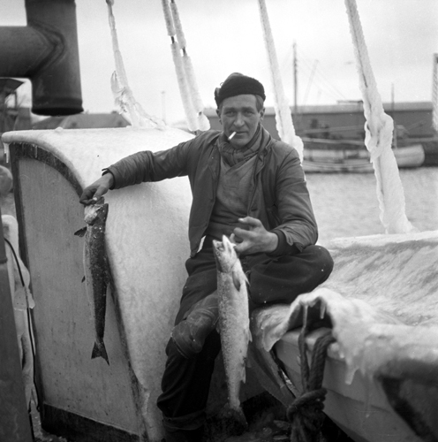 Fiskare Henriksson Brantevik