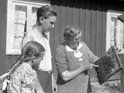 Agnes Jönsson och barnen Vanda och Agne bland b...