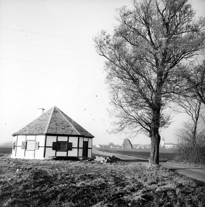 Fyrkappa på Hedvigsdals gård. Arrendator 1955 v...