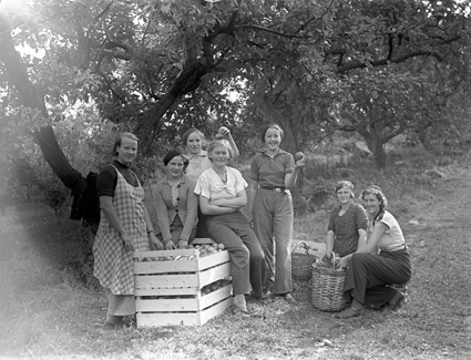 Lindgrens grupp 7 kvinnor Allét.