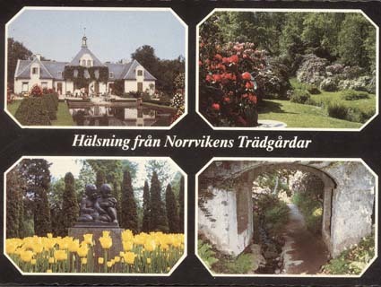 Hälsning från Norrvikens Trädgårdar.