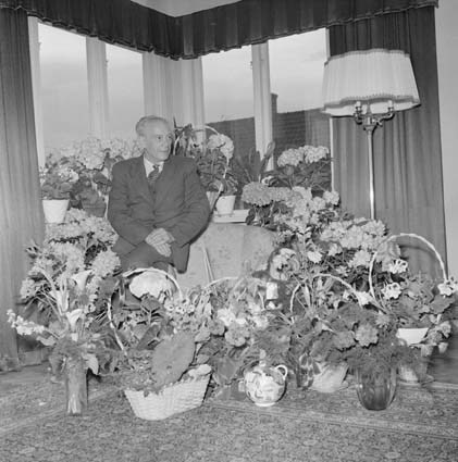 Urmakare Petersson, Ivetofta, 1952.