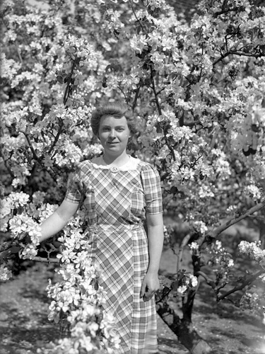 Greta Bengtsson i äppelträd, Furustad.