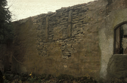 Tunbyholms slott. Ruinens östra sida.