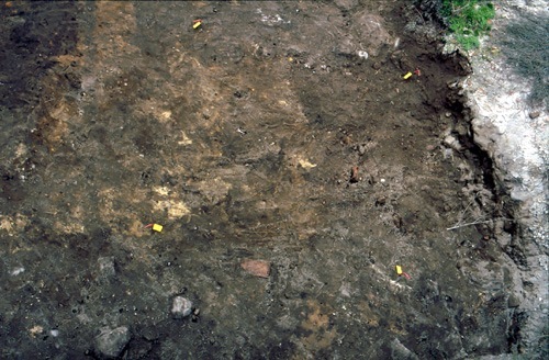 Arkeologisk undersökning kv. Vesslan 28, 1995