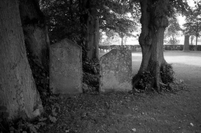 Gravstenar på Halmstads kyrkogård.