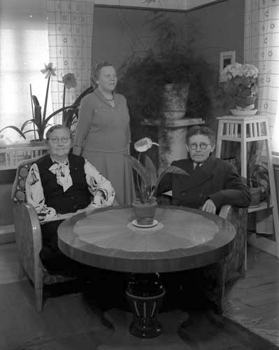 Ellida Nilsson familjen Skarvik.