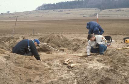 Arkeologisk undersökning av flatmarksgrav. Fjäl...