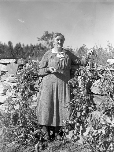Fru Agnes Jönsson (1891-1968), Skärsnäs.