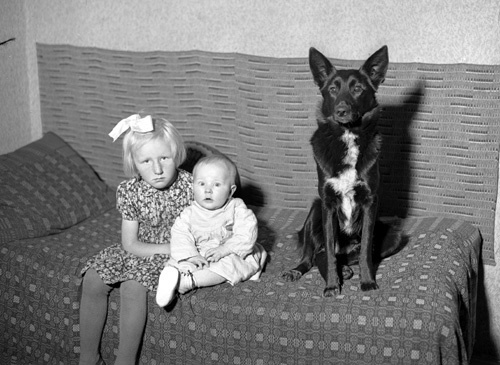 Sven Perssons barn och hund Arkelstorp.