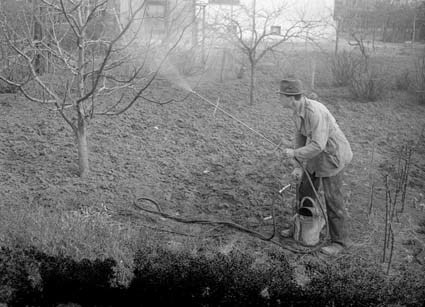 Ernst Nilsson besprutar träd.