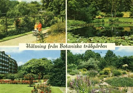 Hälsning från Botaniska Trädgården.
