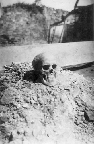 Utgrävningsfynd (Kranium)