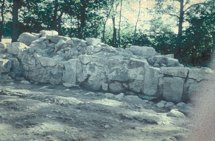 Tjörnarps kyrkoruin, utgrävningen 1961