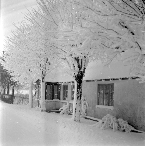 Snömotiv år 1956. Bil som kört av vägen.