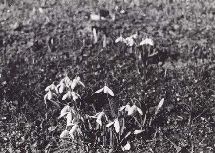 Maj 1938. Botaniskan.