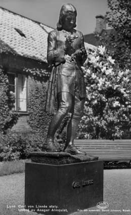 Lund, Carl von Linnés staty