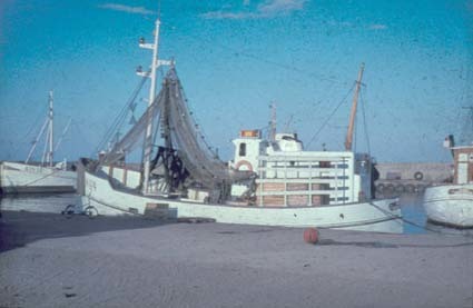 Hamnen vid Brantevik.