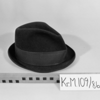 KrM 109/86 23 - Hatt