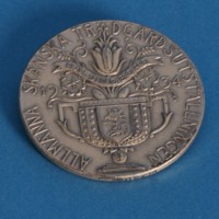 KrM 12/2010 39 - Medalj