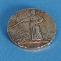 KrM 12/2010 20 - Medalj