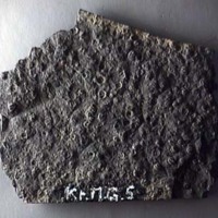KrM G0005 - Trilobit