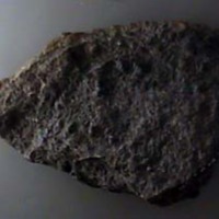 KrM G0464 - Trilobit