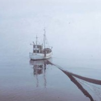 KrM KCA001679 - Fiskebåt