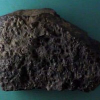 KrM G0471 - Trilobit