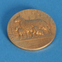 KrM 12/2010 28 - Medalj