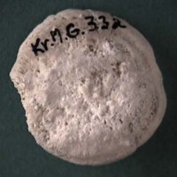 KrM G0332 - Korall